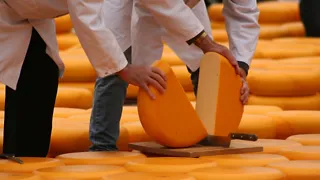 10:00: Aanschouw de Kaasmarkt van Alkmaar