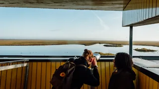 6x avontuurlijk Almere: van de Oostvaarders tot het strand 