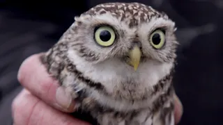 Wildlife Film Festival in Rotterdam