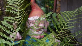 Op zoek naar kabouters in Zoetermeer