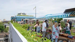 Het dak op tijdens de Rotterdamse Dakendagen