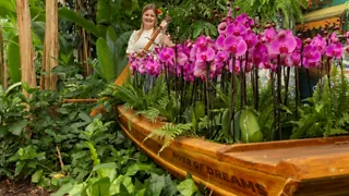 River of Dreams bloemenfestival in Pantropica