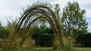Op ontdekking in het Voedselbos Drenthe