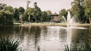 Groen en gezelligheid in het Amsterdamse Oosterpark