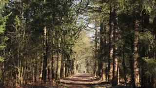 De stad uit en het Amsterdamse Bos in