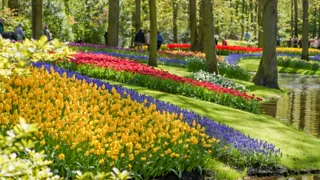 Struinen door kleurrijk Keukenhof