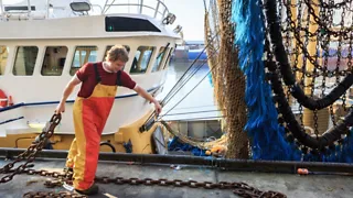 16:00 uur: Visje happen op de levendige Scheveningse haven