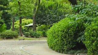 15:00 uur: Ontdek de botanische tuinen van de Jochumhof