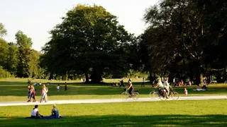 5x de leukste wandelingen door parken in Den Haag