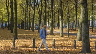 Bewandel het boswachterspad door het Haagse Bos