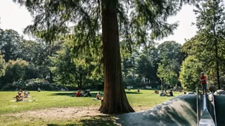 Verken de koninklijke Paleistuin