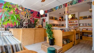 Dig It! Recordstore: de platenwinkel voor elpeeverzamelaars