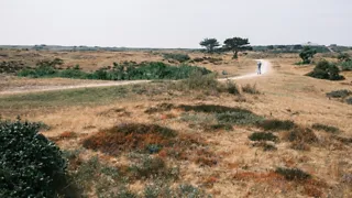 24 uur in Den Helder: wandel langs het strand en door de Helderse Duinen