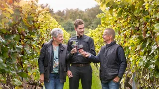 Wijngaarden en domeinen in Zuid-Limburg 