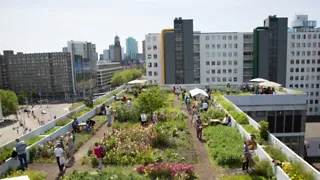 Ga de groene Rotterdamse daken op van DakAkker  