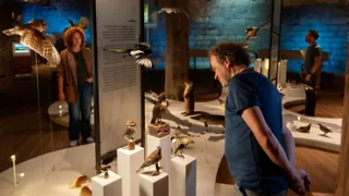 14:00 uur: Bezoek Museum De Bastei
