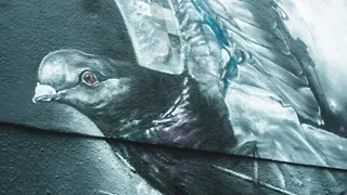 Centrum Beeldende Kunst Groningen brengt kunst dichterbij de mens