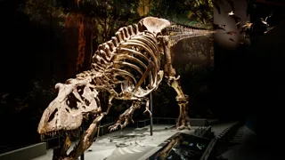 14:30 uur: Een spannende ontdekkingstocht in Naturalis