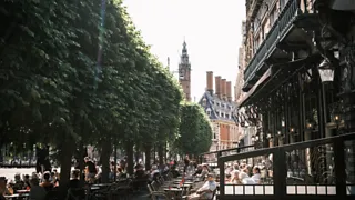 24 uur historie in Haarlem: van Teylers Museum tot schuilkerken