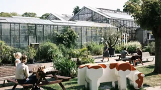 10:00 uur: Ontbijt in het Kweekcafé, de ‘huiskamer’ van Haarlem