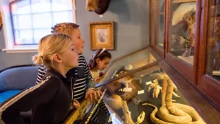 De natuur ontdekken in Natuurmuseum Fryslân