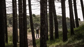 Spot herten bij Buitenplaats Elswout
