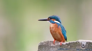 Wandelen bij het Midden-Herenduin