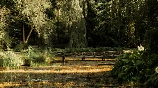 Fietsen in de historische omgeving van Heerenveen 